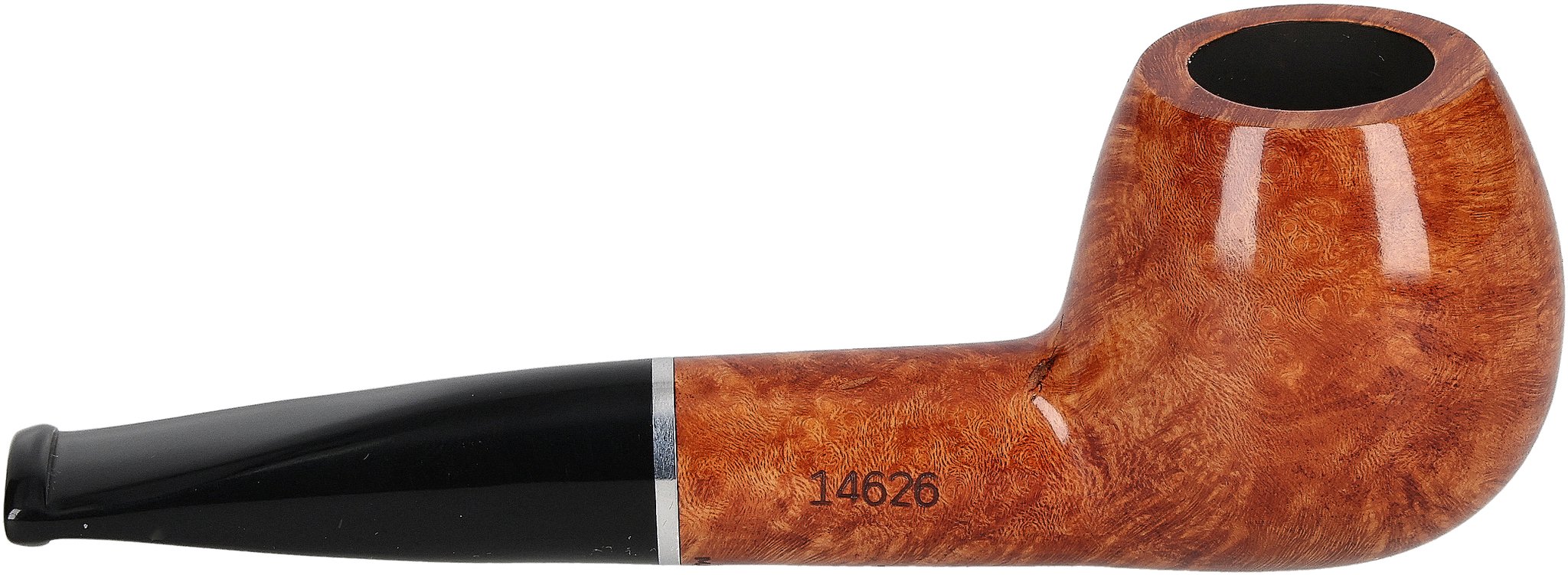 Giordano Arno 14626_05