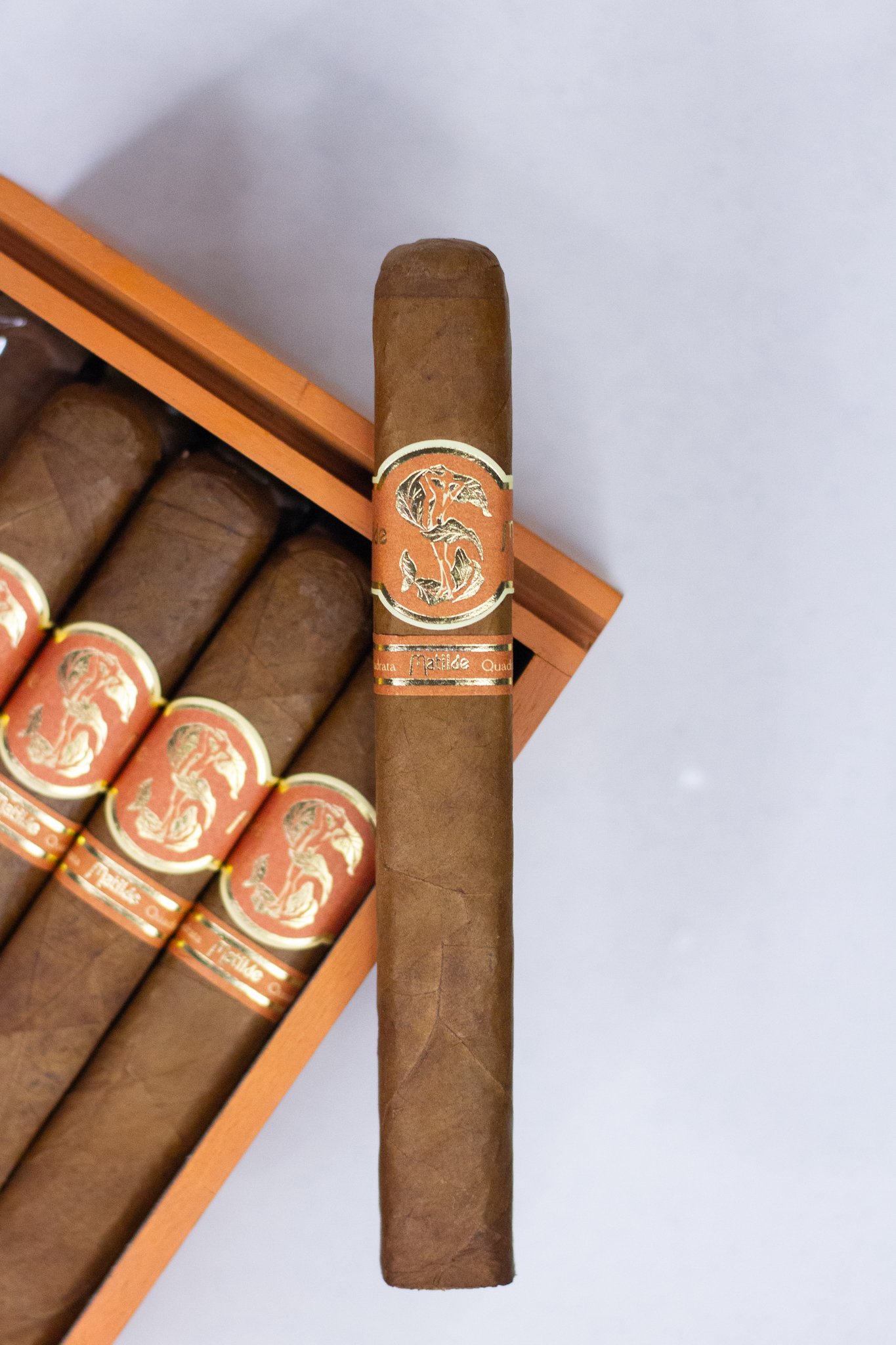 Matilde Quadrata Toro Bravo