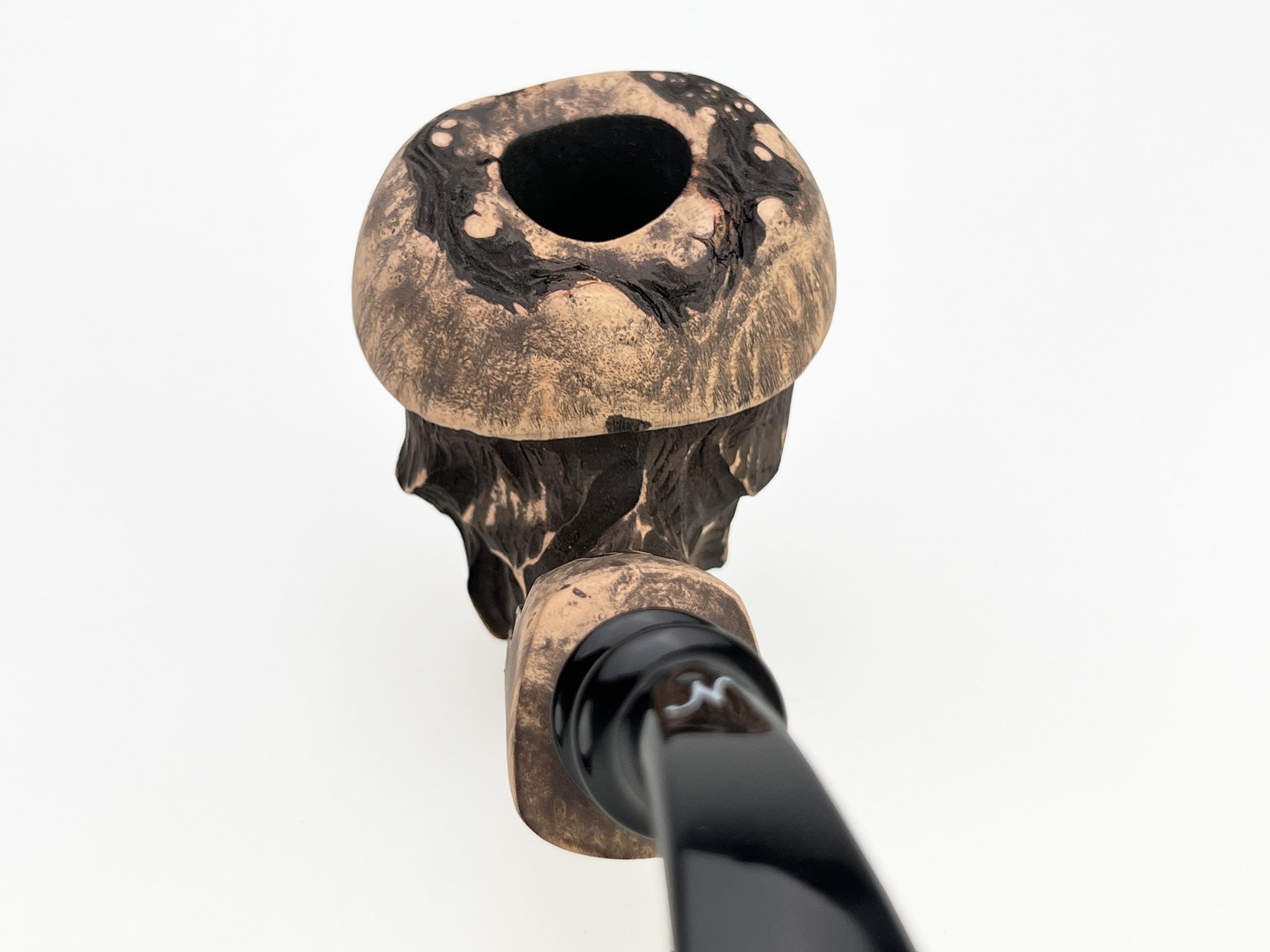 Spruce Cone (int Nr.186)-2