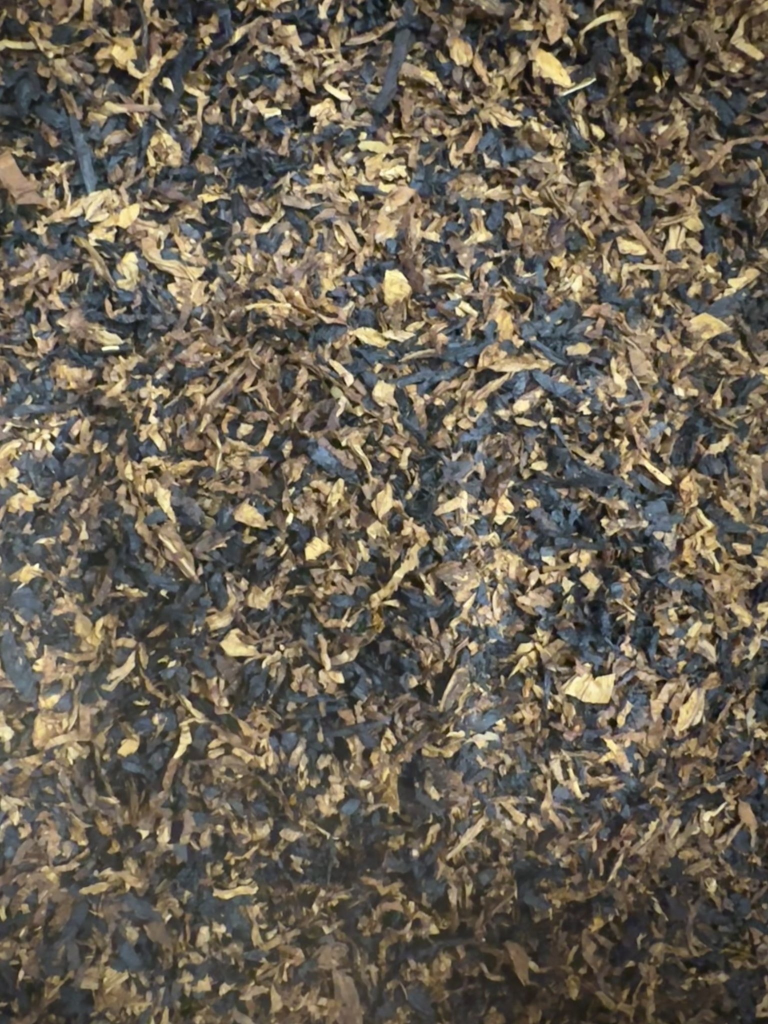 Stormy West Small Batch Schnitt