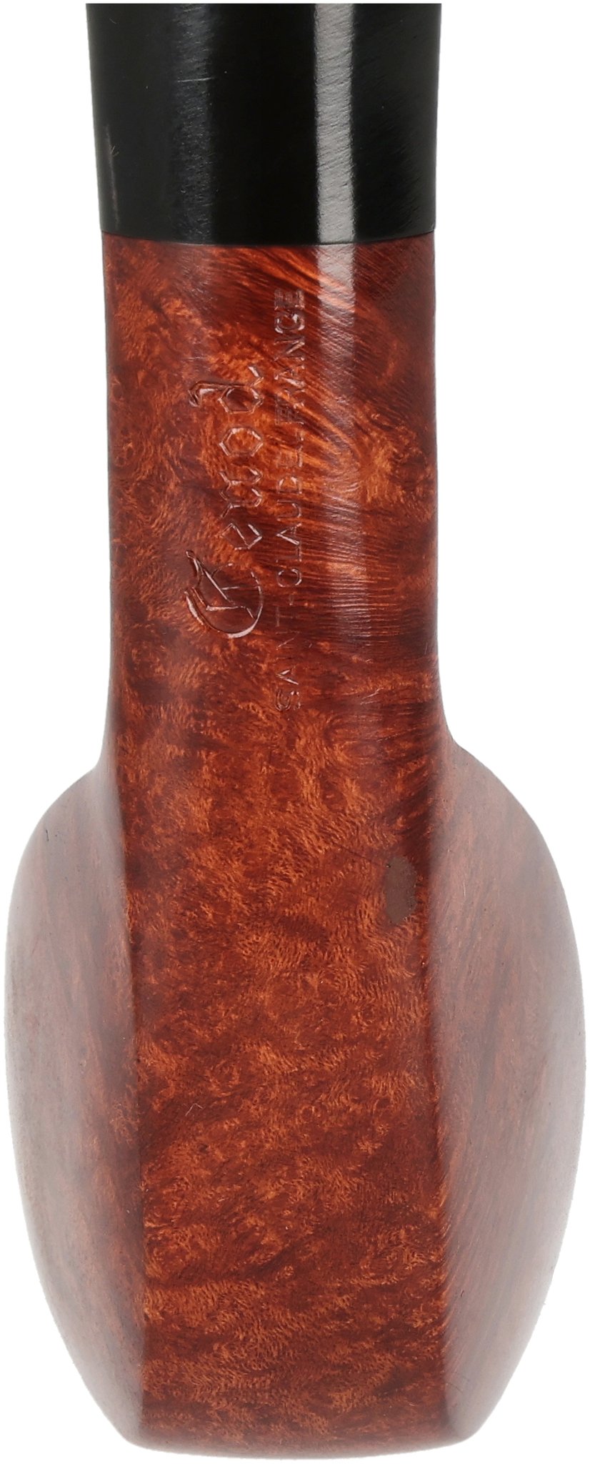 Plume 225 Bordeaux Sans Filtre 2B_04