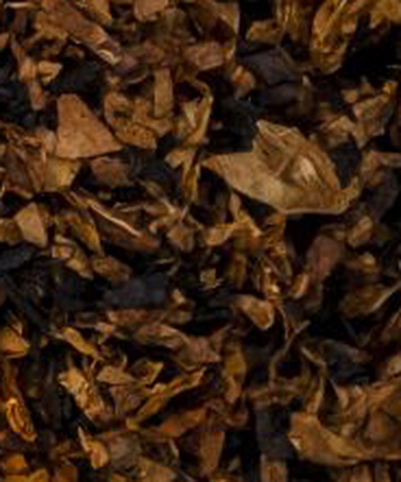 Caribbean Blue Bellamy Schnitt