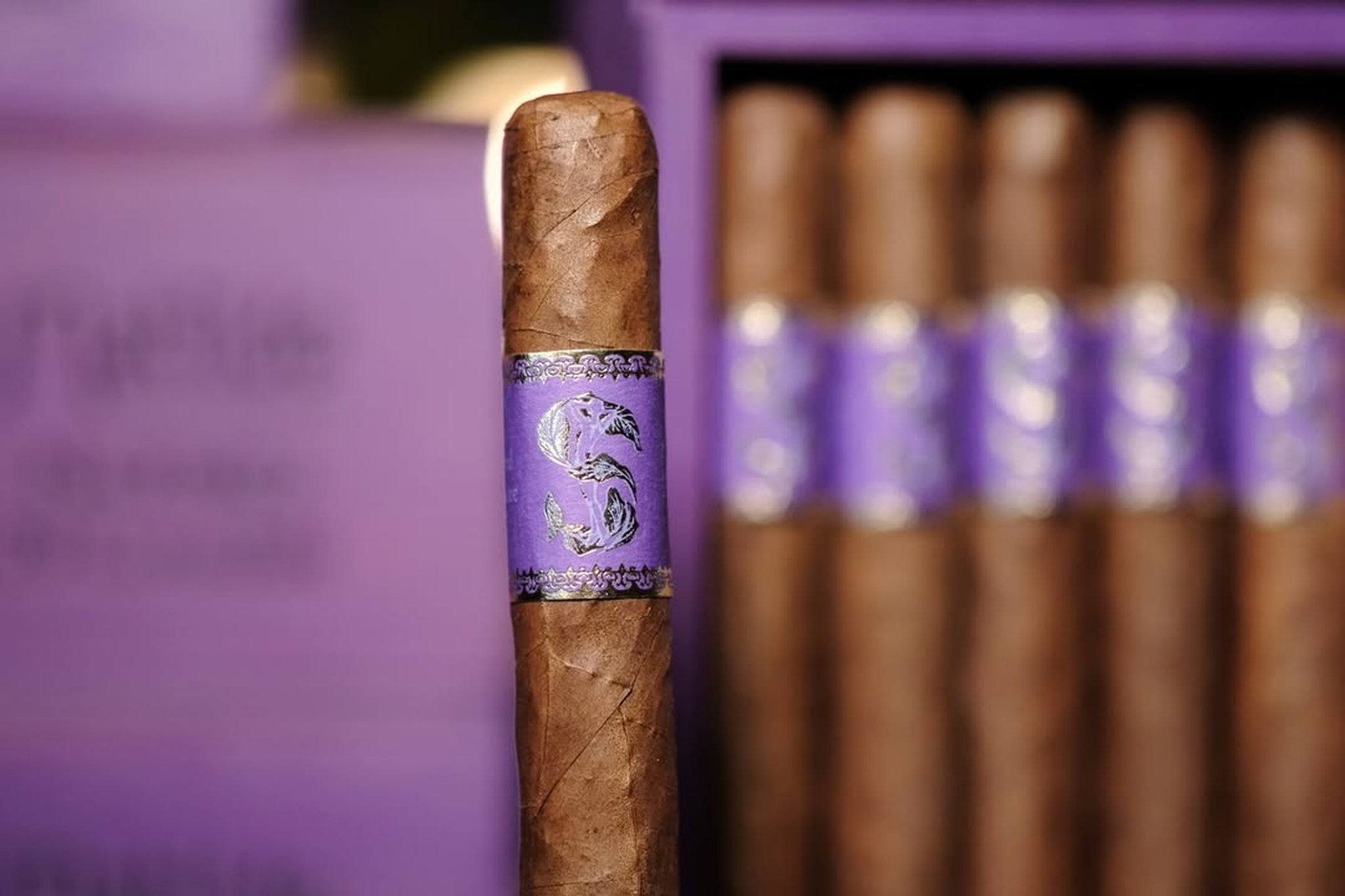 Matilde Exposure No. 2 Toro