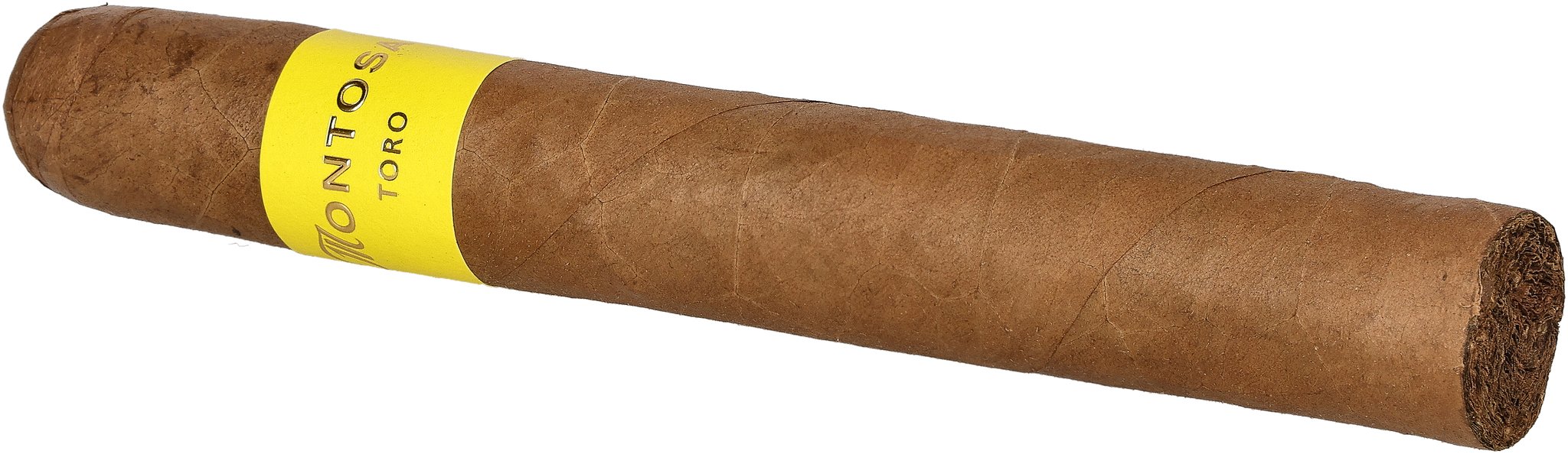 Amarillo Toro_02