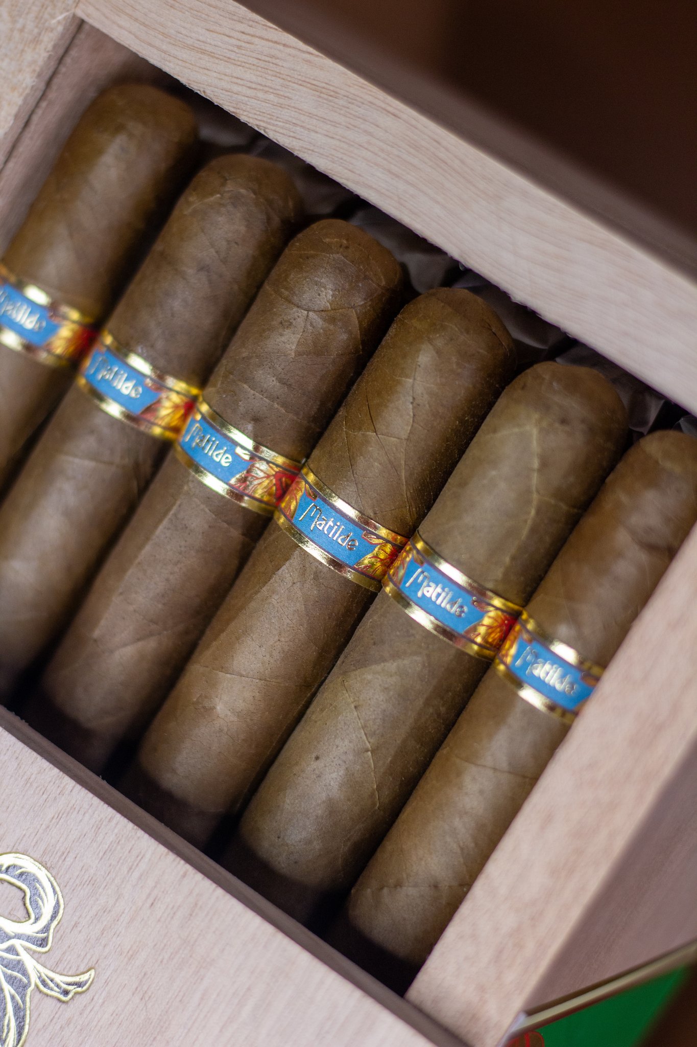 Matilde Special Edition Toro