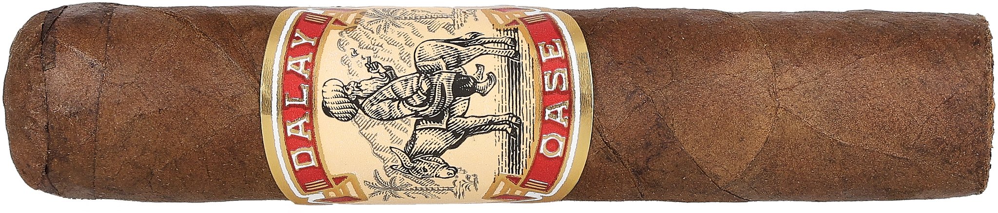 Dalay Oase Petite Robusto_Zigarre