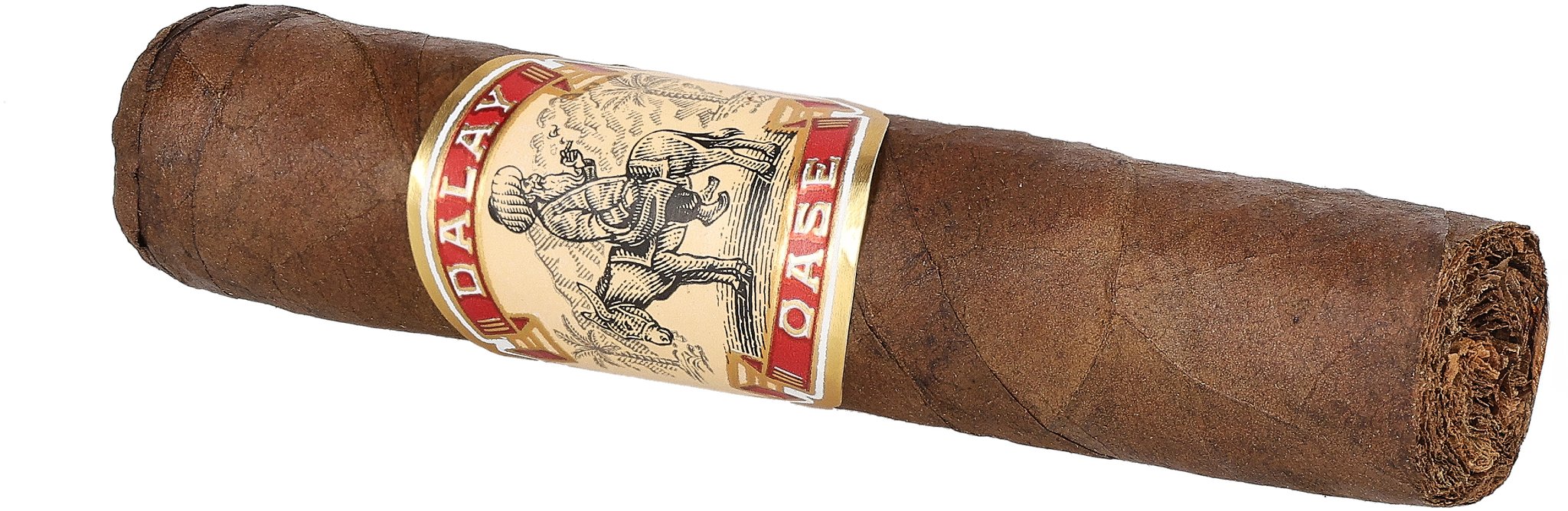 Dalay Oase Petite Robusto_Zigarre