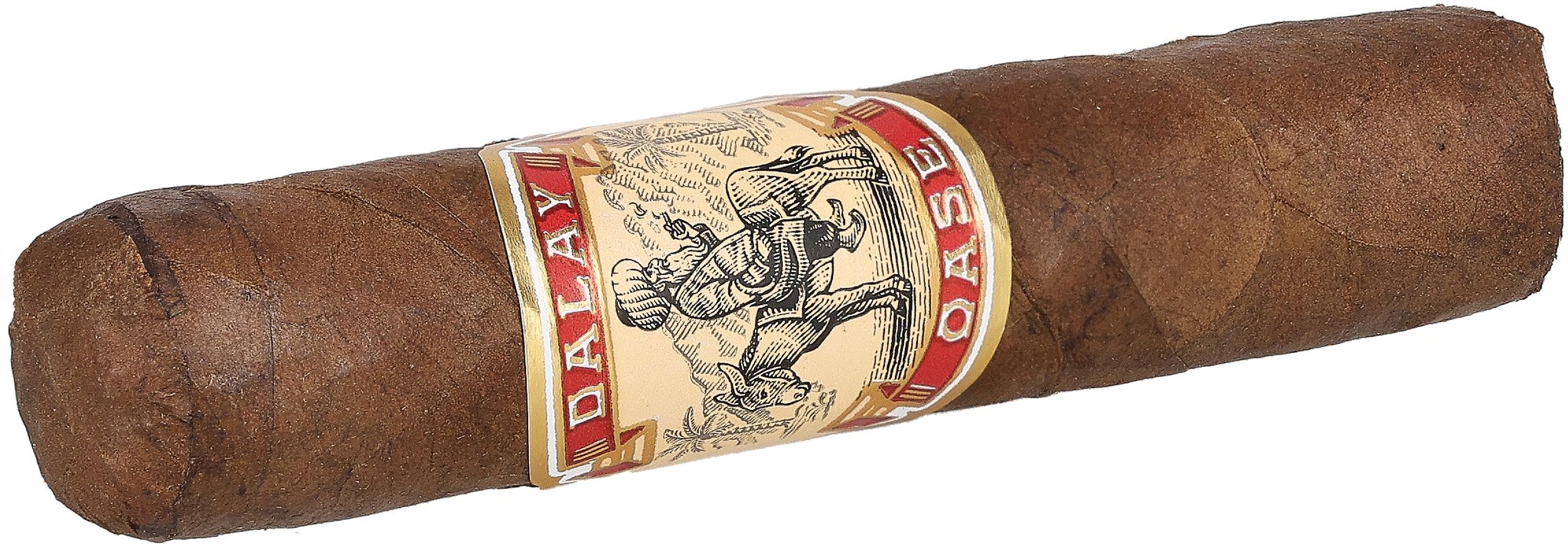 Dalay Oase Petite Robusto_Zigarre