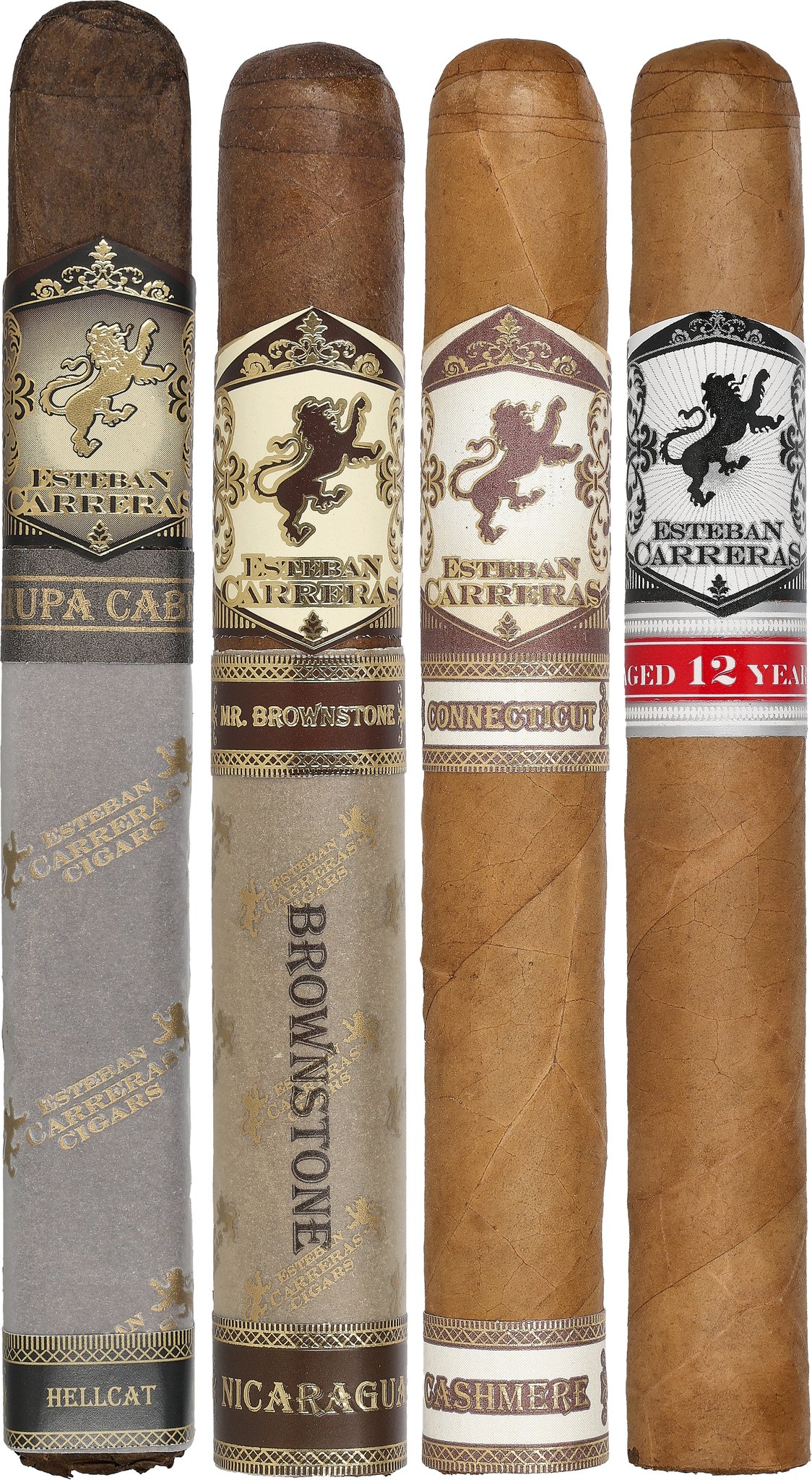 Travel Humidor Toro sticks