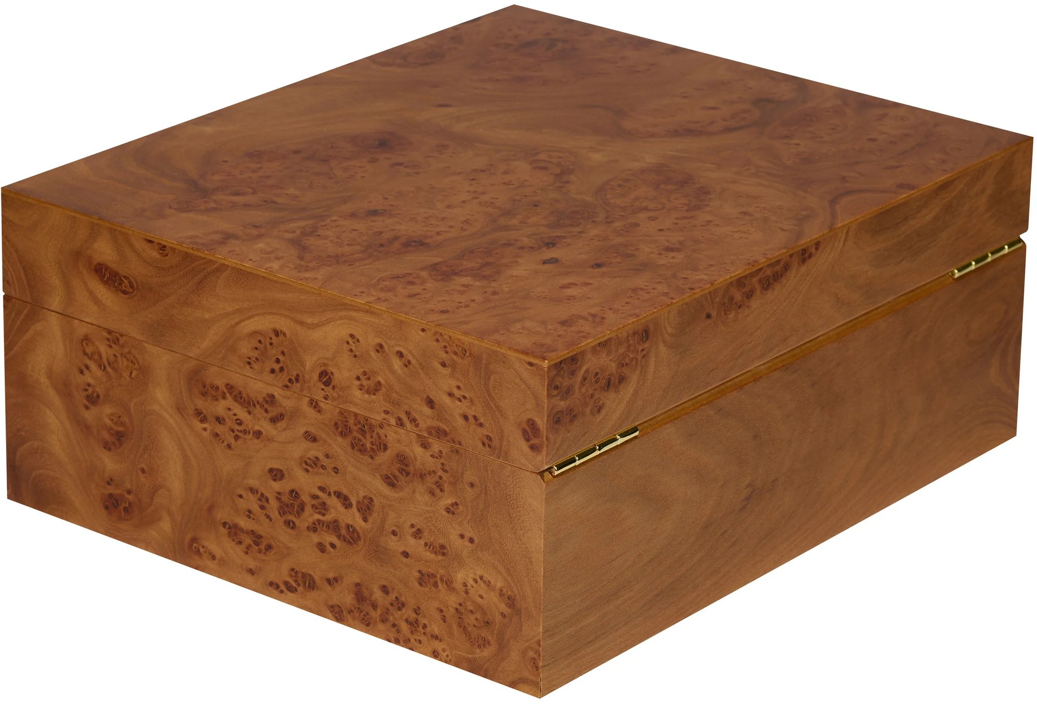 Adorini Catania Ulmenholz Medium Deluxe_03