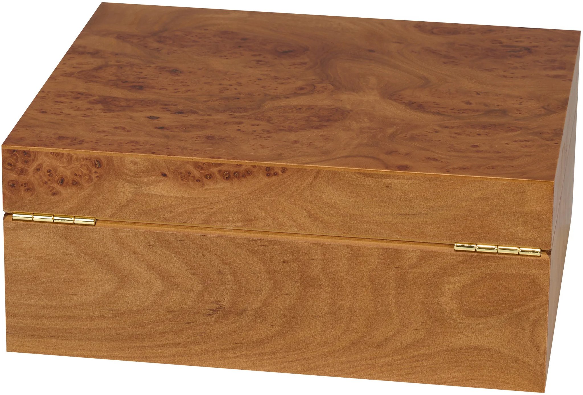 Adorini Catania Ulmenholz Medium Deluxe_04