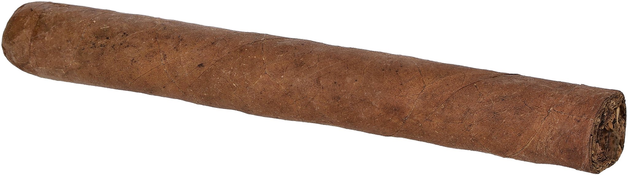 Kautz Corona stick 2
