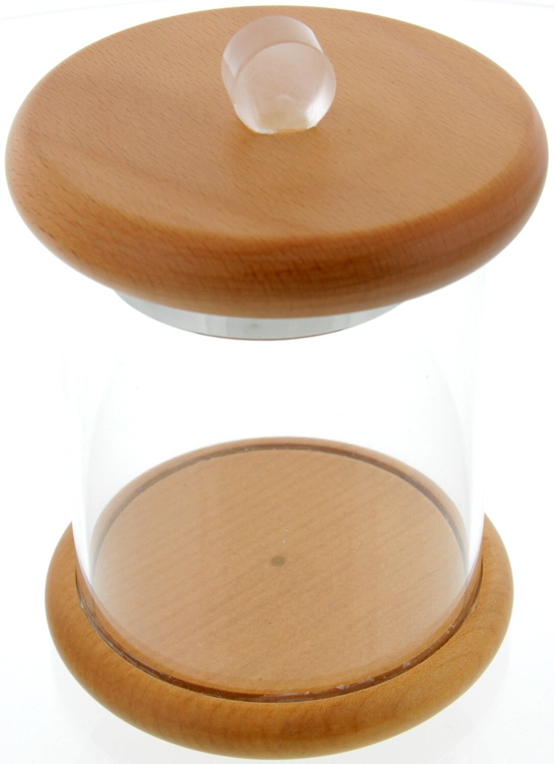 Guy Janot Topf Buche hell, Plexiglas weiß 7020