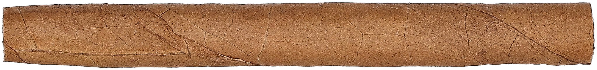 Panter Desert OHNE Filter 20er 05