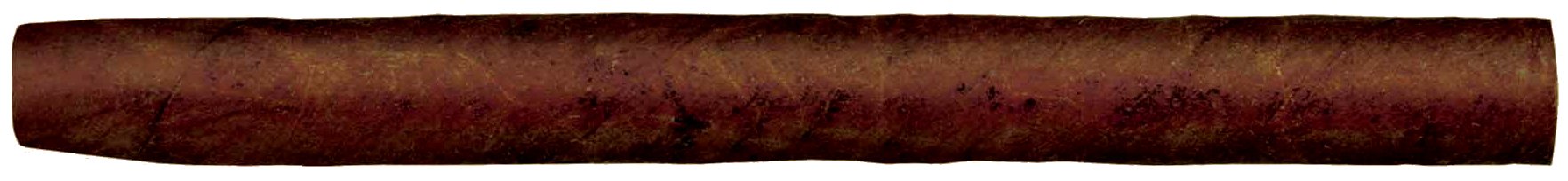 Schuster Phone APPS Brazil