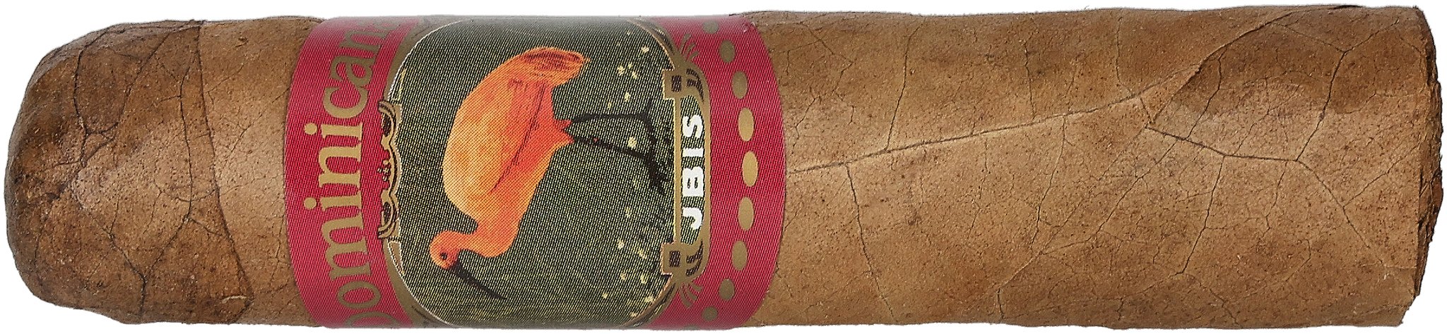 Ibis Dominicana Mini Robusto_Zigarre