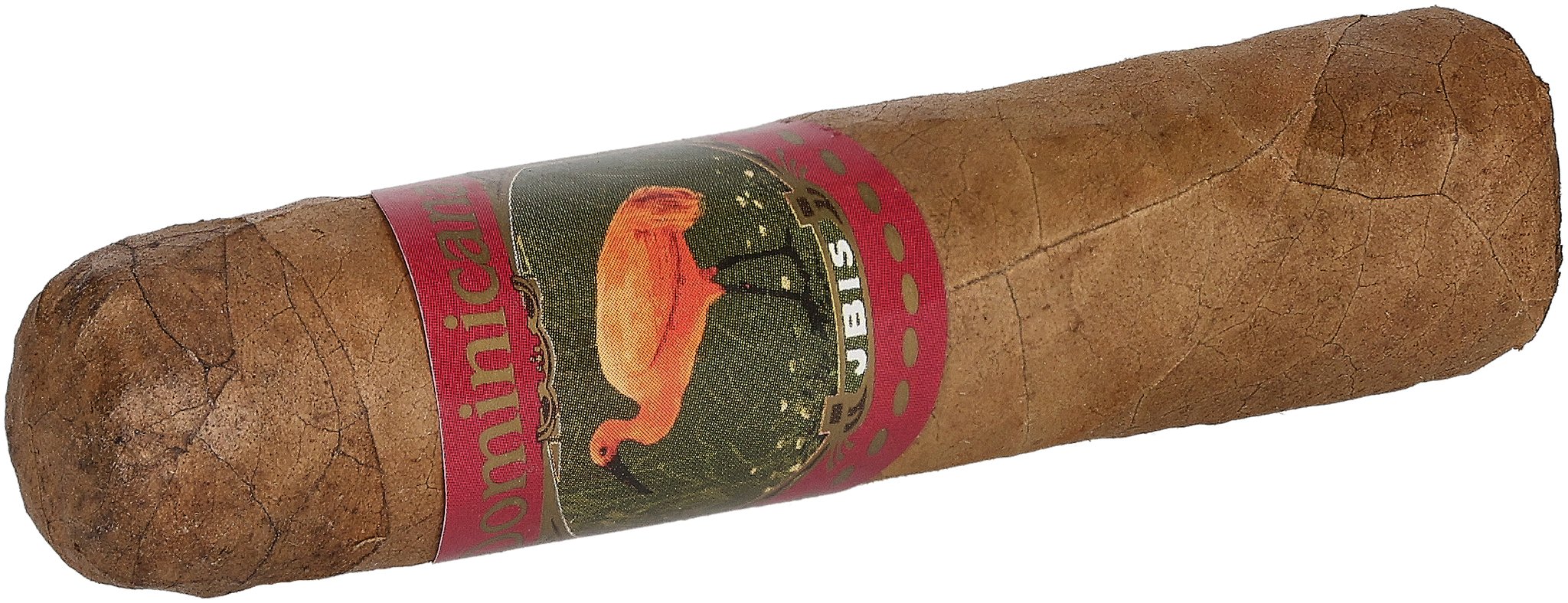 Ibis Dominicana Mini Robusto_Zigarre