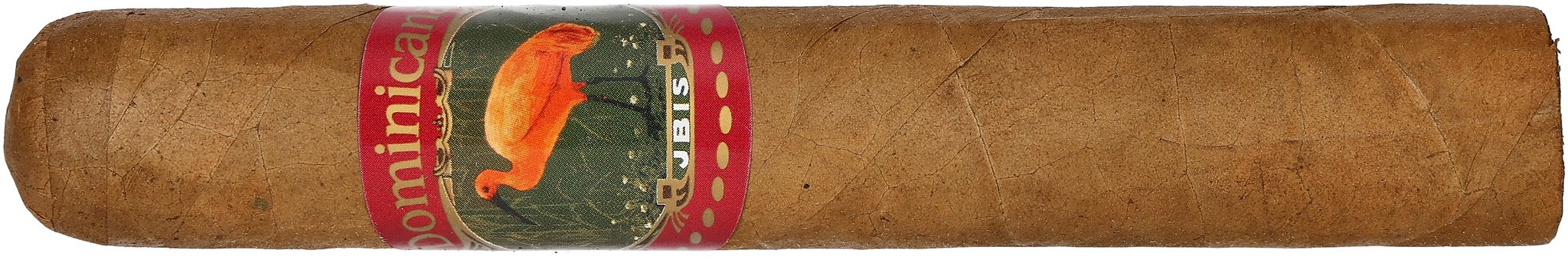 Ibis Dominicana Robusto_Zigarre