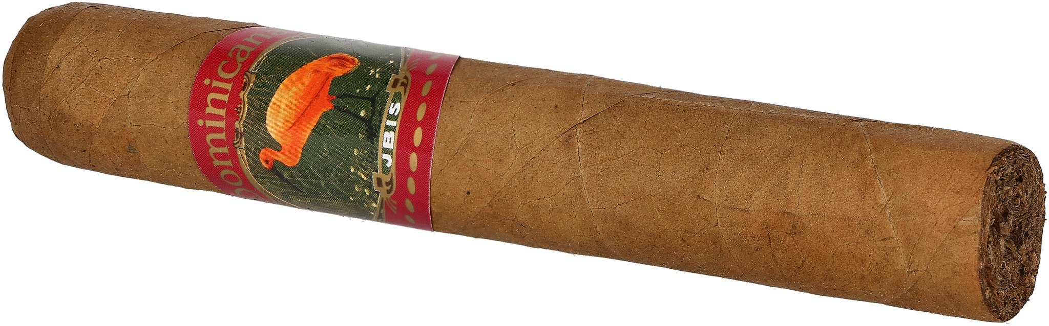 Ibis Dominicana Robusto_Zigarre
