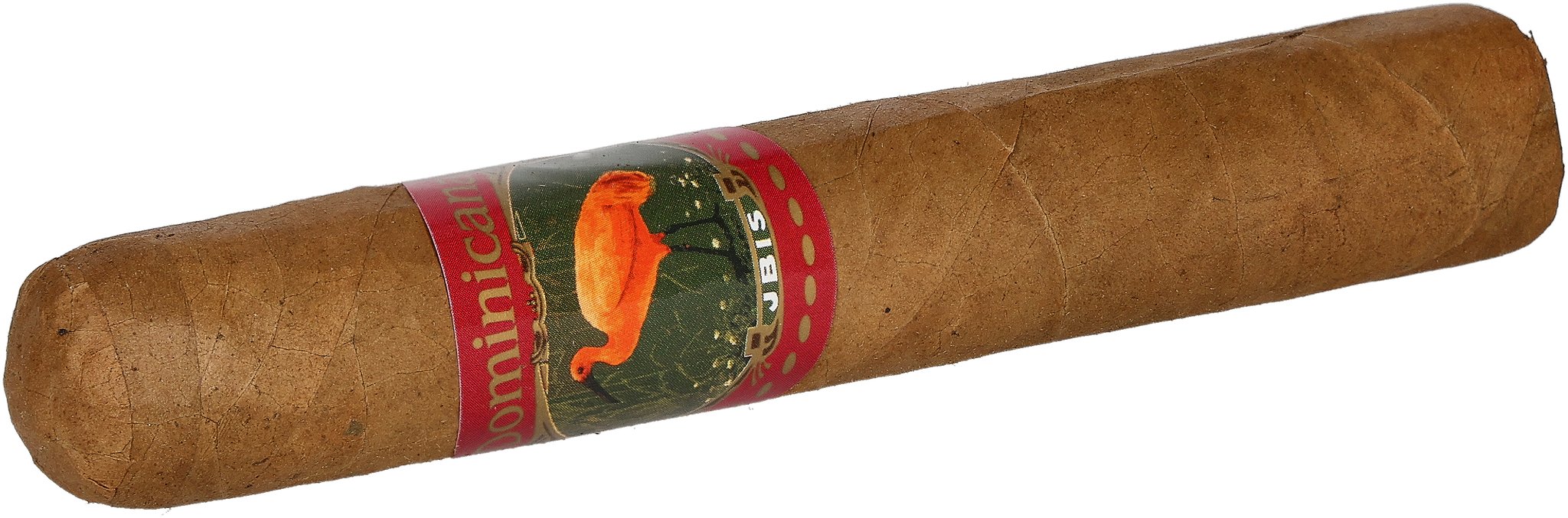 Ibis Dominicana Robusto_Zigarre
