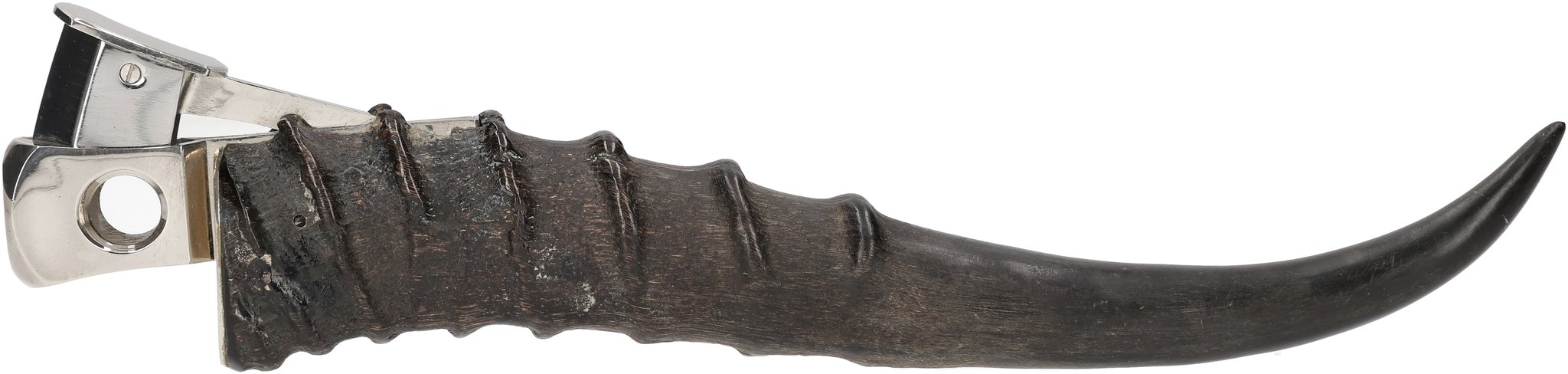 Horn V-Cut 01