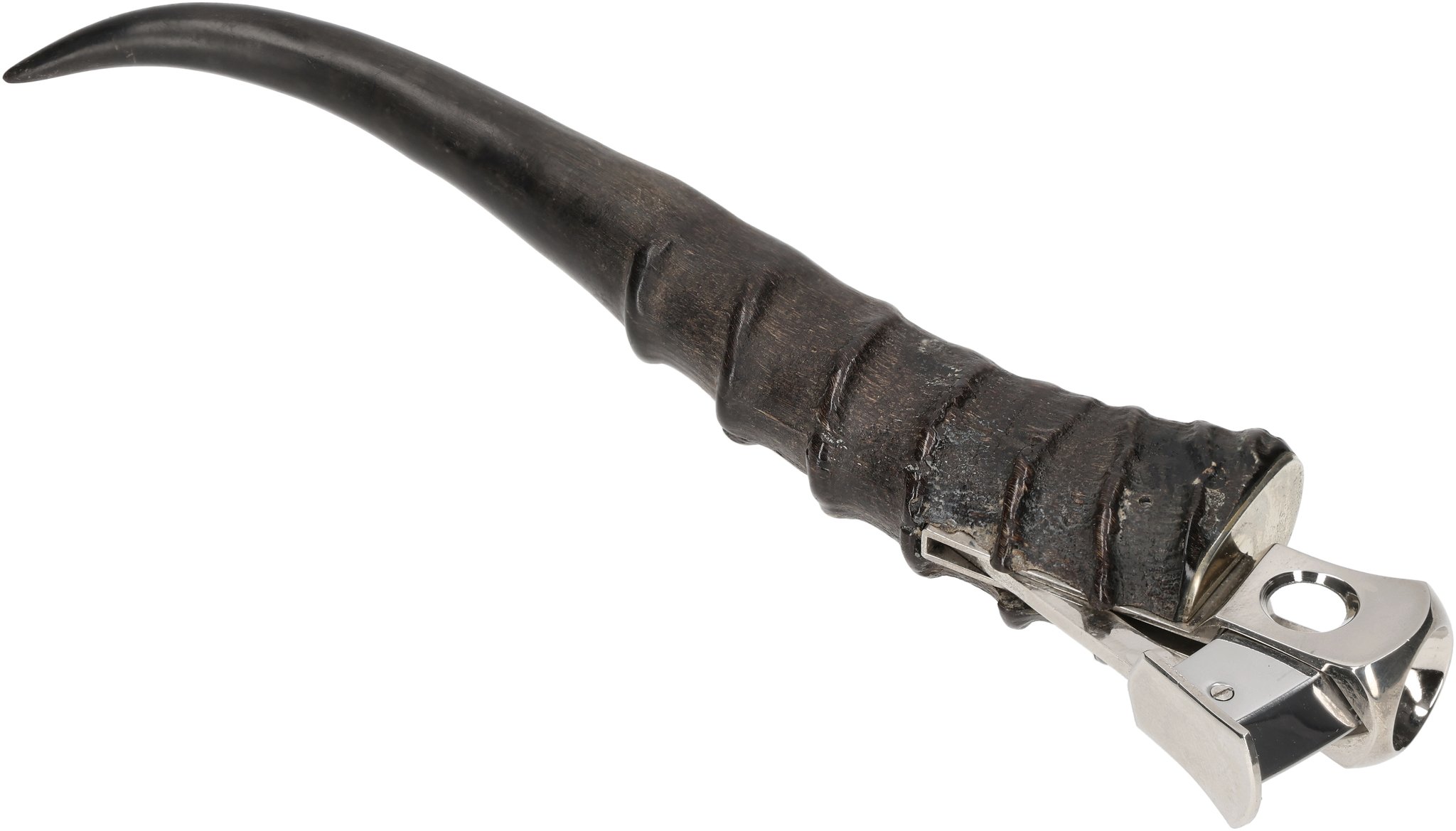 Horn V-Cut 05