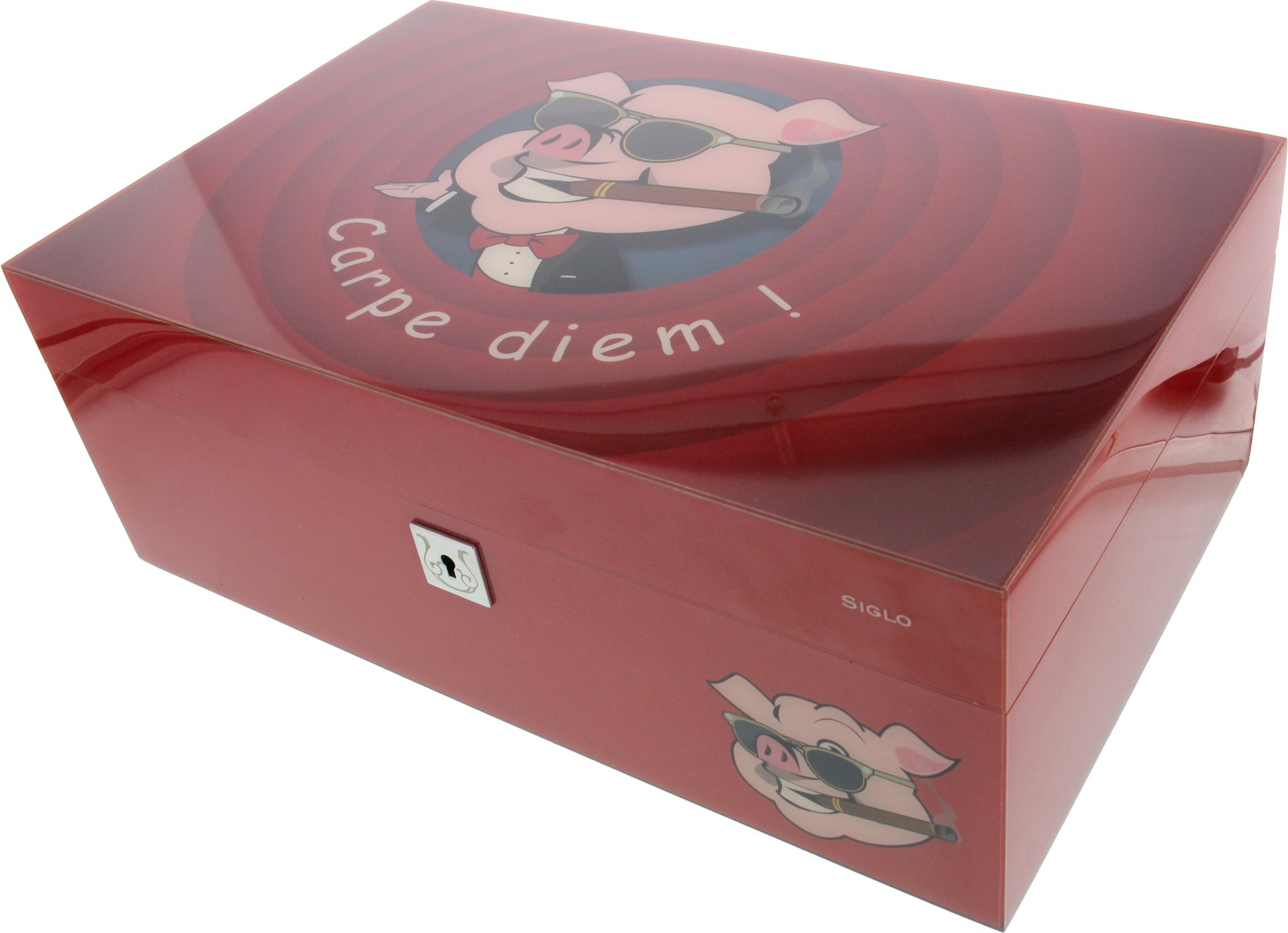 Siglo Size M Year of the Pig Limited Edition