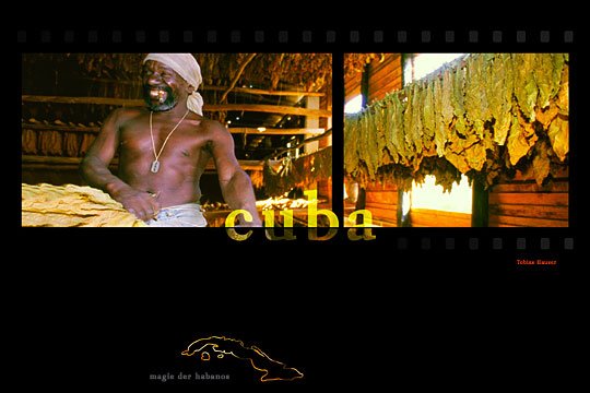 Tobias Hauser Mann im Tabakhaus 711650