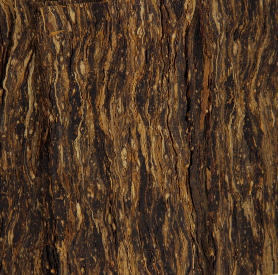 Tobacco Factory Special Blend President´s Pleasure Schnitt