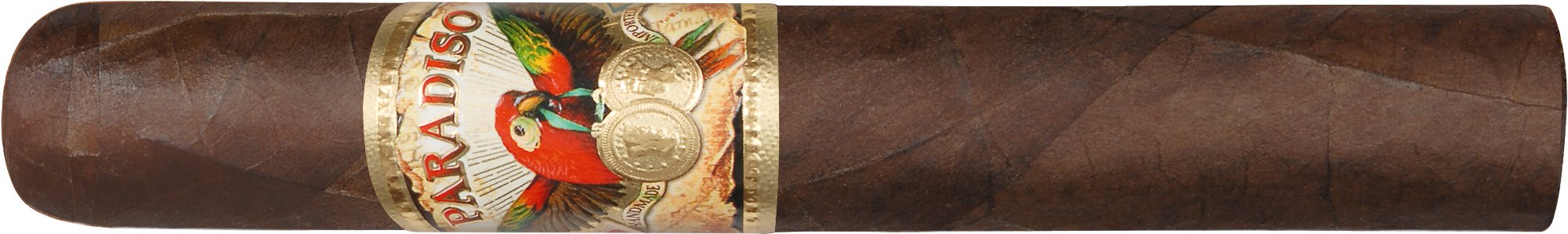 Paradiso by Ashton Papagayo (Toro Grande)