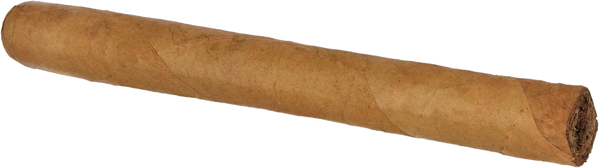 Meine Longfiller Bundles Julieta_Zigarre