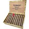 Prominent 100% Tobacco Robusto Nr. 3 Kiste offen