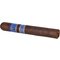 Limited Editions Fusion Robusto_02