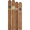 Sampler Coronas Sticks