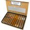 Perdomo Sampler Connoisseur Collection Connecticut 12er offen