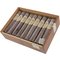 Dunhill 1907 Robusto Kiste offen
