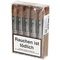 Nicaragua Toro Gordo bundle
