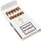 Davidoff Winston Churchill Petit Corona The Artist 5er offen