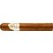 Davidoff Winston Churchill Petit Panetella The Raconteur