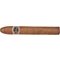 Warped Futuro Seleccion 109 stick