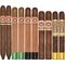 2024 Holiday Collection sticks