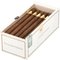 Cavalier Genève White Series Lancero_