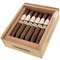 Cigarkings Elegantes Maduro Kiste offen