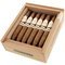 Cigarkings Elegantes Sun Grown Kiste offen