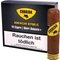 Short Robusto+ 10er Schachtel