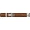 Sendero Stick