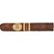 Joya de Nicaragua Rosalones Reserva R550 Robusto (5x50)_Zigarre