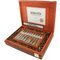 Buena Vista Dark Fired Kentucky Robusto Kiste offen