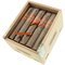 Crowned Heads Luminosa Robusto Kiste offen