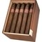 Gran Belicoso Limitada Jahrgang 2023 Kiste offen